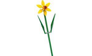 40747 | LEGO® Iconic Daffodils