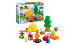 10452 | LEGO® DUPLO® Camping Trip