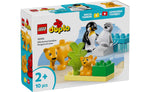 10442 | LEGO® DUPLO® Wild Animal Families: Penguins & Lions