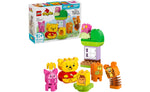 10457 | LEGO® DUPLO® Winnie the Pooh's Birthday Party