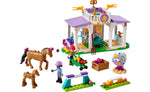 41746 | LEGO® Friends Horse Training