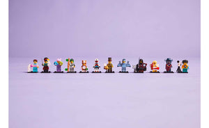 71048 | LEGO® Minifigures Series 27