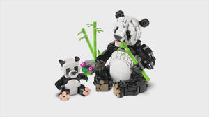 31165 | LEGO® Creator 3-in-1 Wild Animals: Panda Family