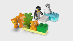 10442 | LEGO® DUPLO® Wild Animal Families: Penguins & Lions